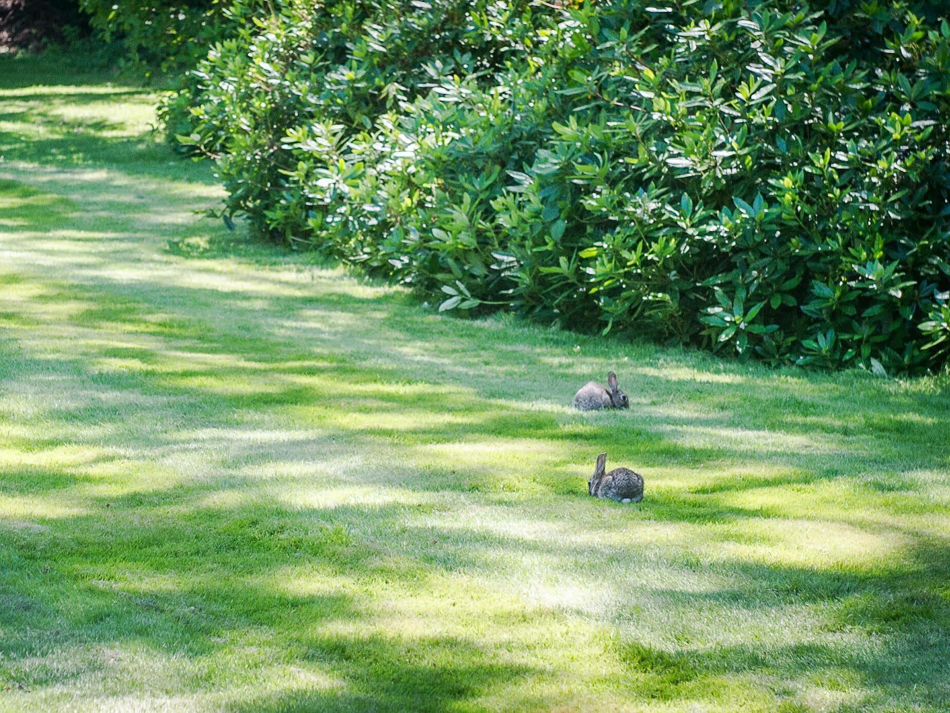 クラバートン カントリー ハウス ホテル バトル エクステリア 写真